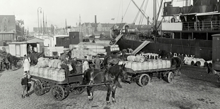 Varer på havnen