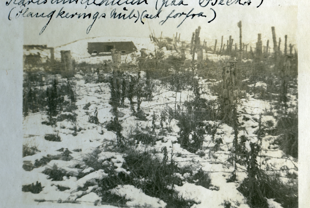 Tunestillingen vinteren 1918-19