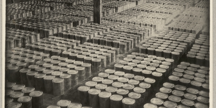 Fra lageret af spiselige svampe på en tysk konservesfabrik