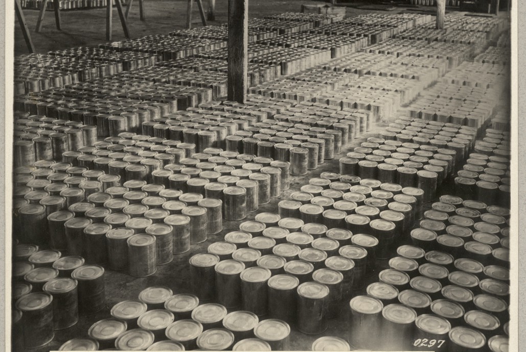 Fra lageret af spiselige svampe på en tysk konservesfabrik