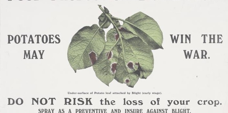 Plakat med fokus på vigtigheden af kartofler