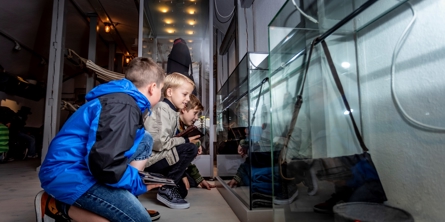 Børn undersøger udstilling på Mosede Fort