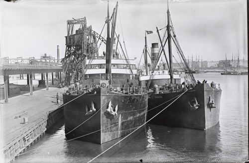 Danske kuldampere ligger stille i Københavns havn august 1914